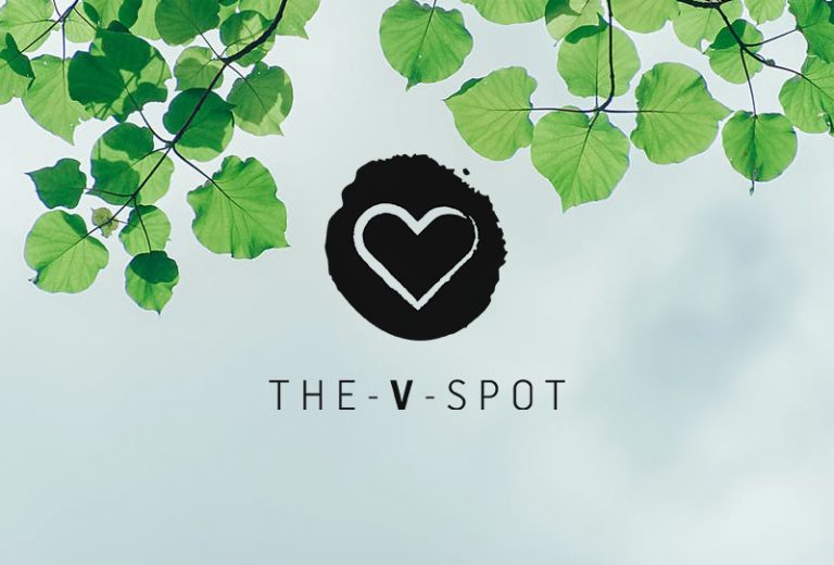 321762128b9b1590628282-V-Spot-leaf-logo