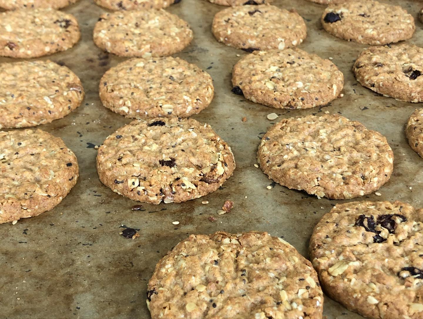 211121192_2141183239351893_4180099641024303808_n