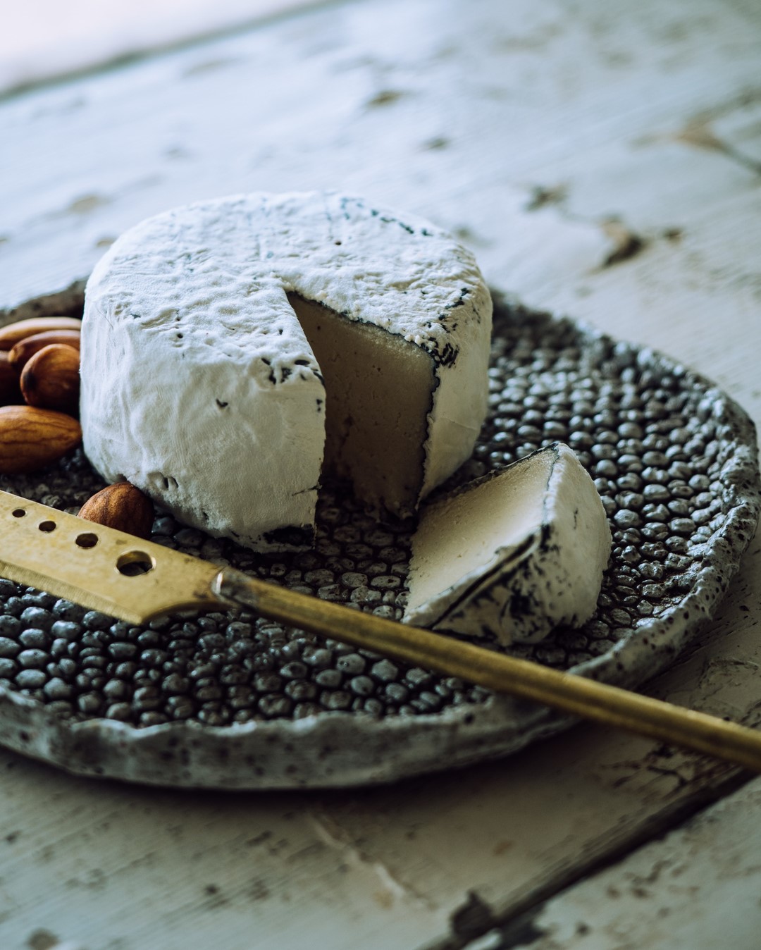 294656447_481756037284427_4726892581506739830_n