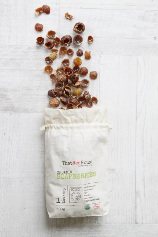 That Red House Logo Buy Vegan