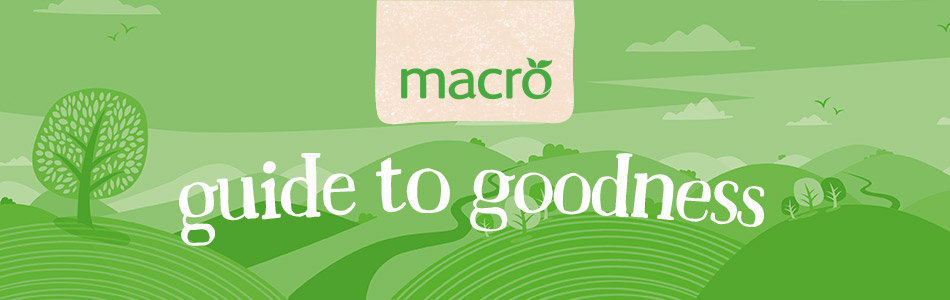 303723259_411893767742043_4145553998825753018_n