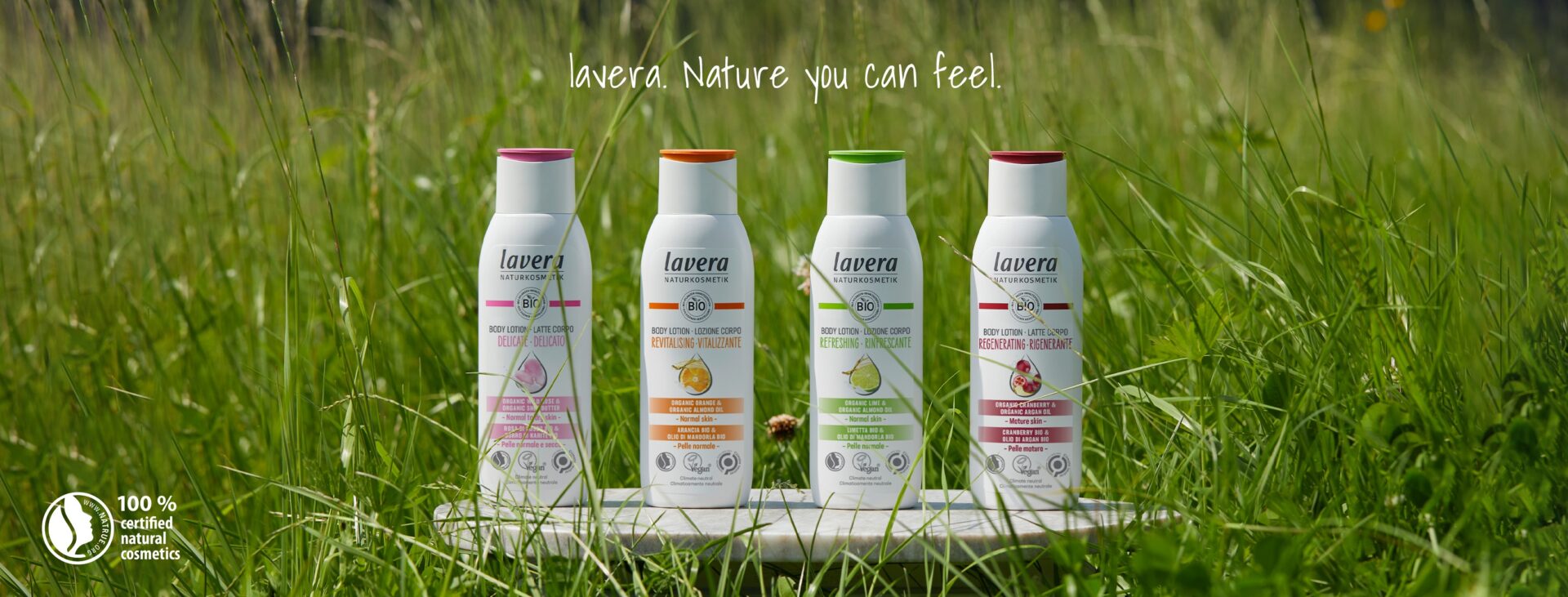 310383616_5414608275287927_5973463932452511118_n