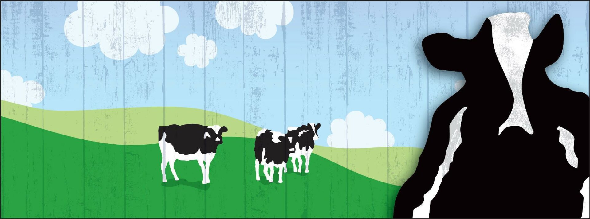 478187_196977317093892_401189074_o