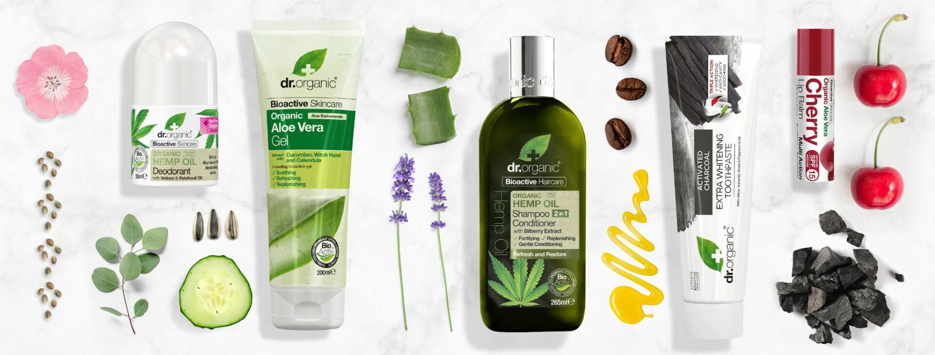 75375682_2370756729719014_7887062631368884224_n