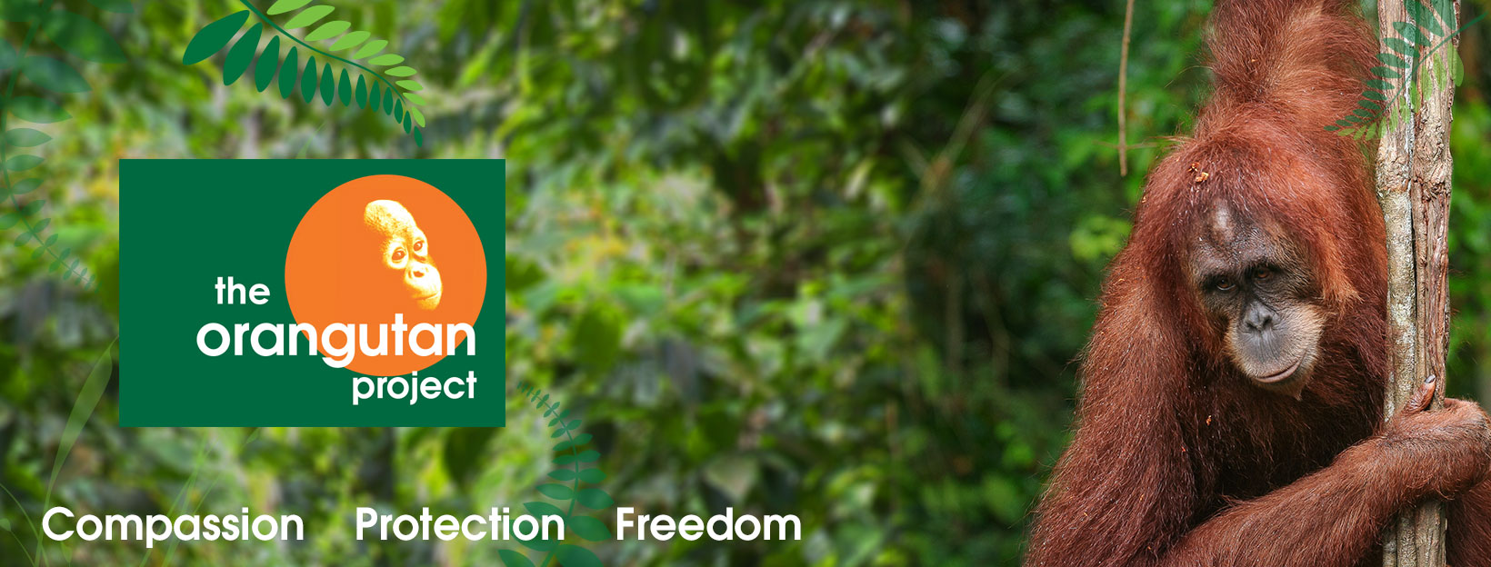 21125634_1456601547752912_5705005359435414480_o