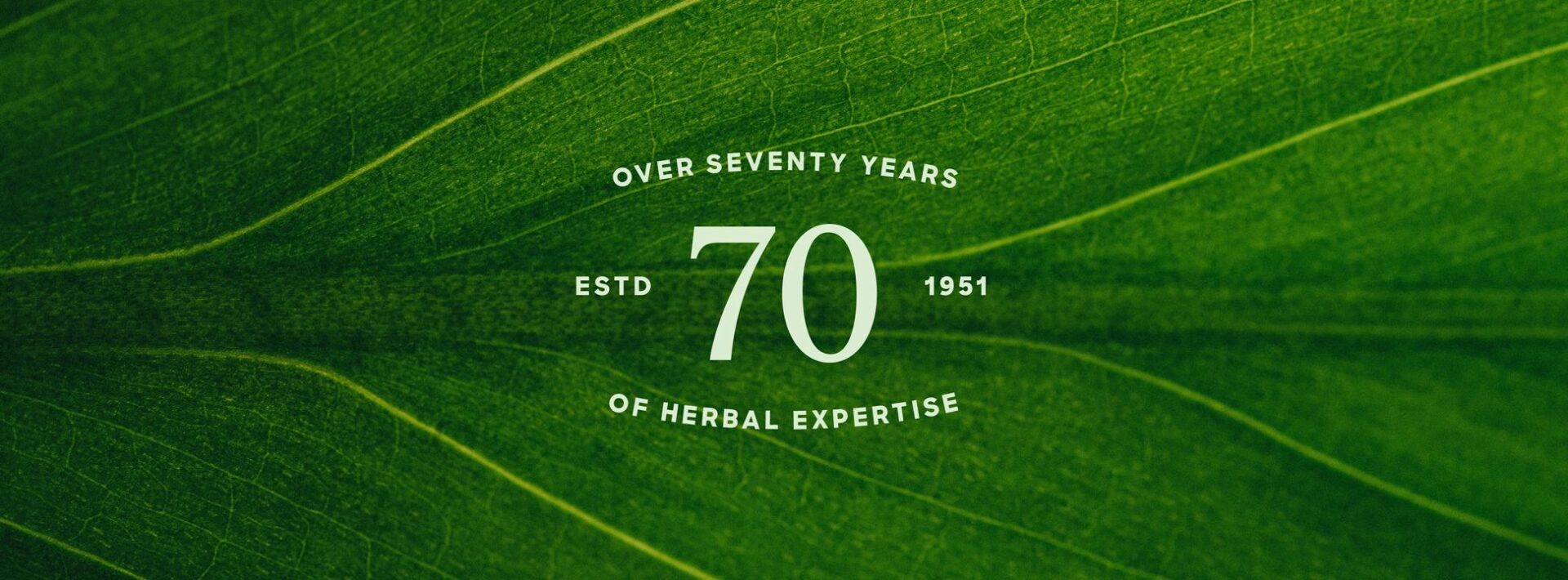 238937054_4319207484825947_9184052724552218323_n