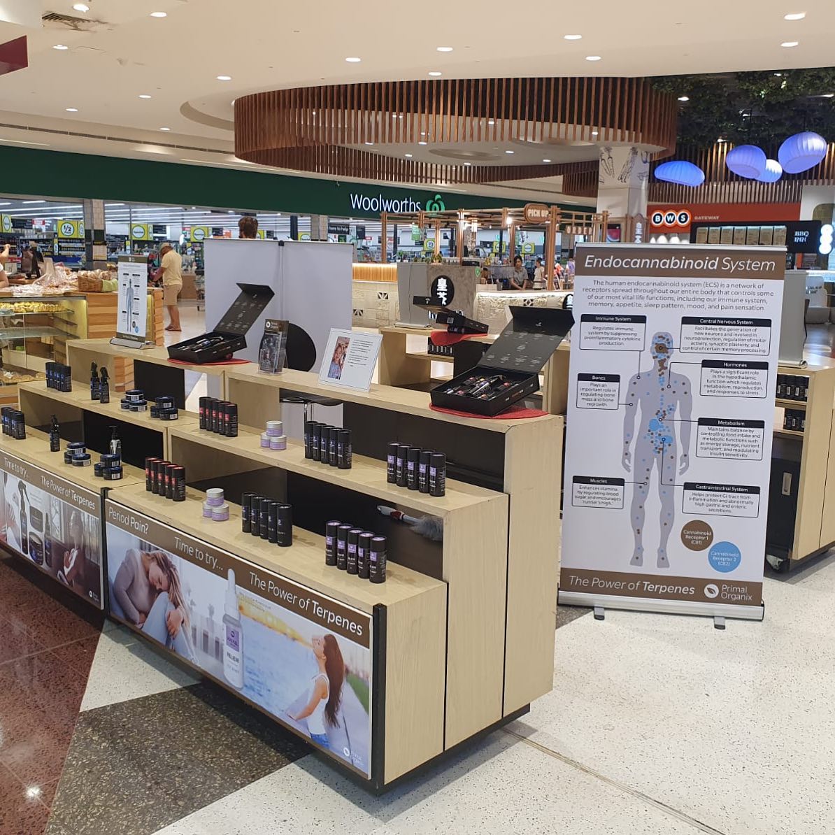 243542868_2359157664216821_5881063775797637008_n