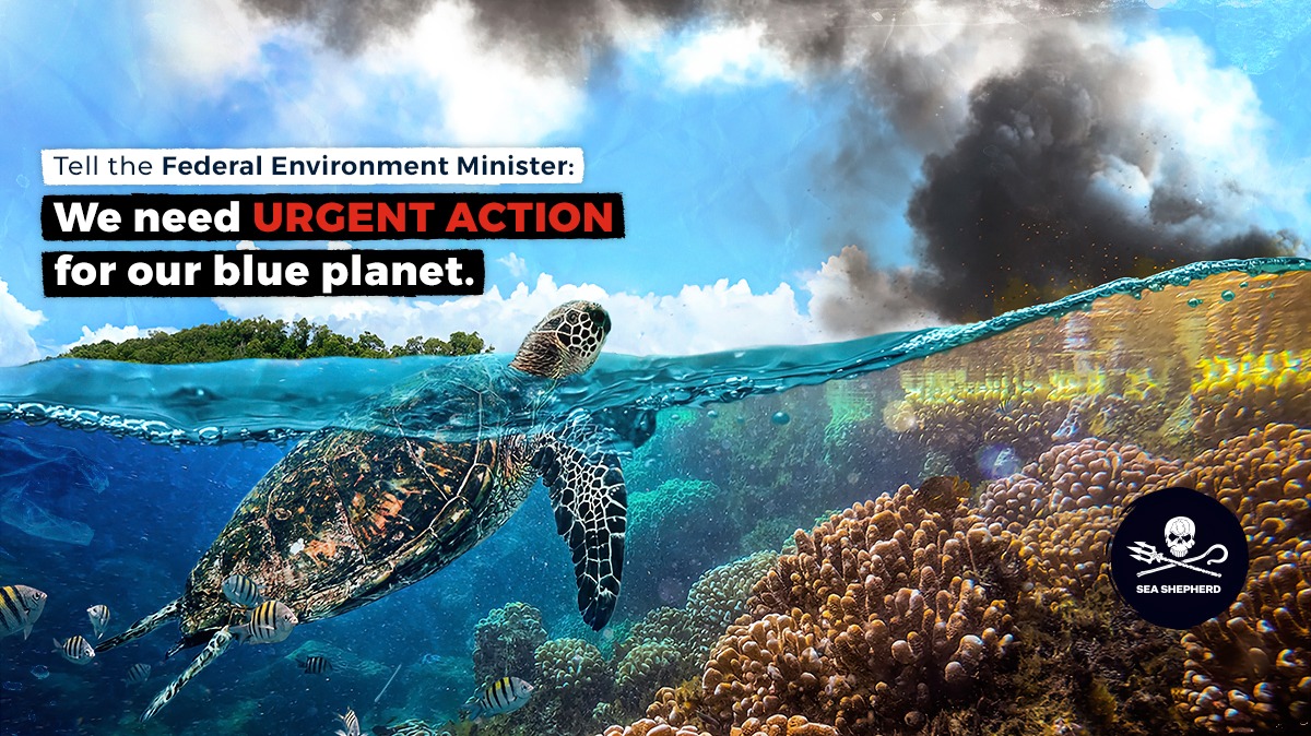 293275619_7725507197490635_6613079120259266322_n