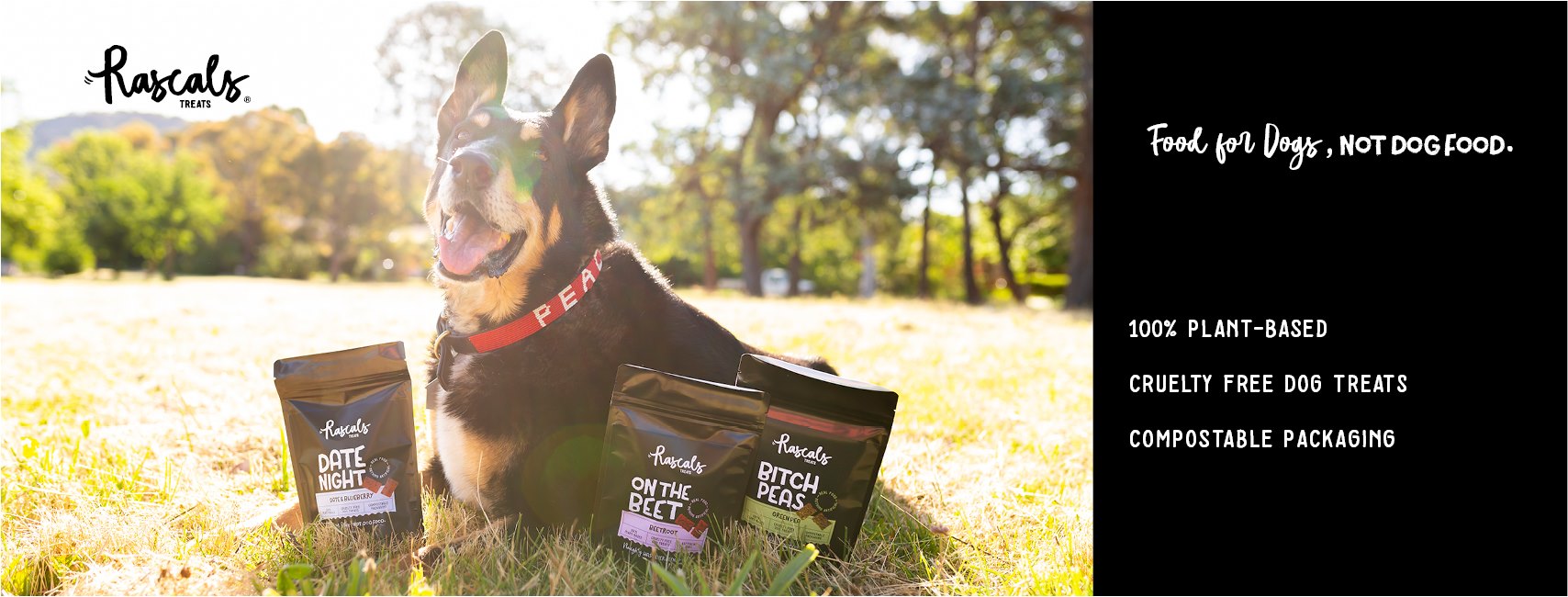 305698557_498464418952066_4368351497333790031_n