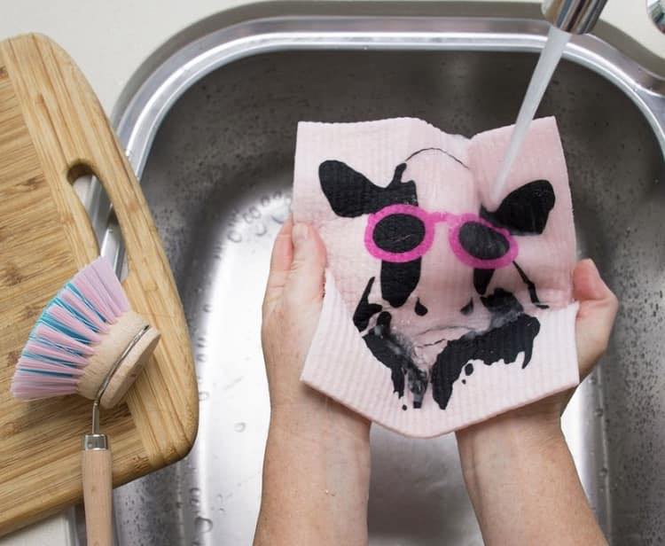 309541708_512535404211911_6328618121018619286_n