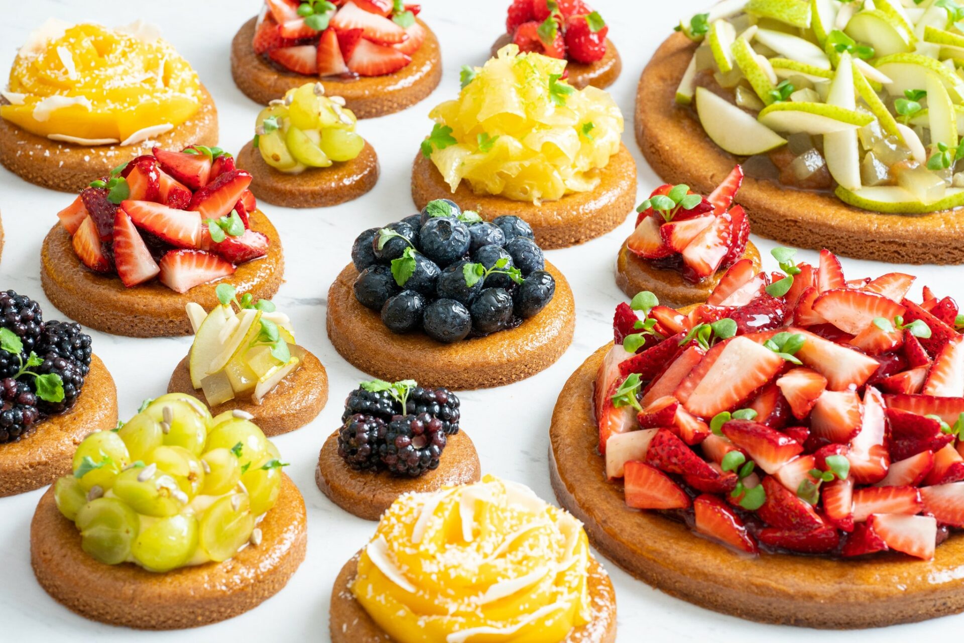 310624341_3509535485940997_3147968775461015416_n