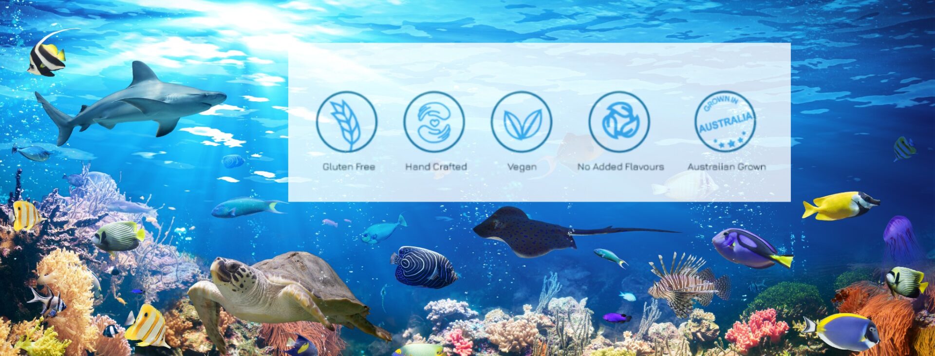 291467158_141469018543828_2334088492483774144_n