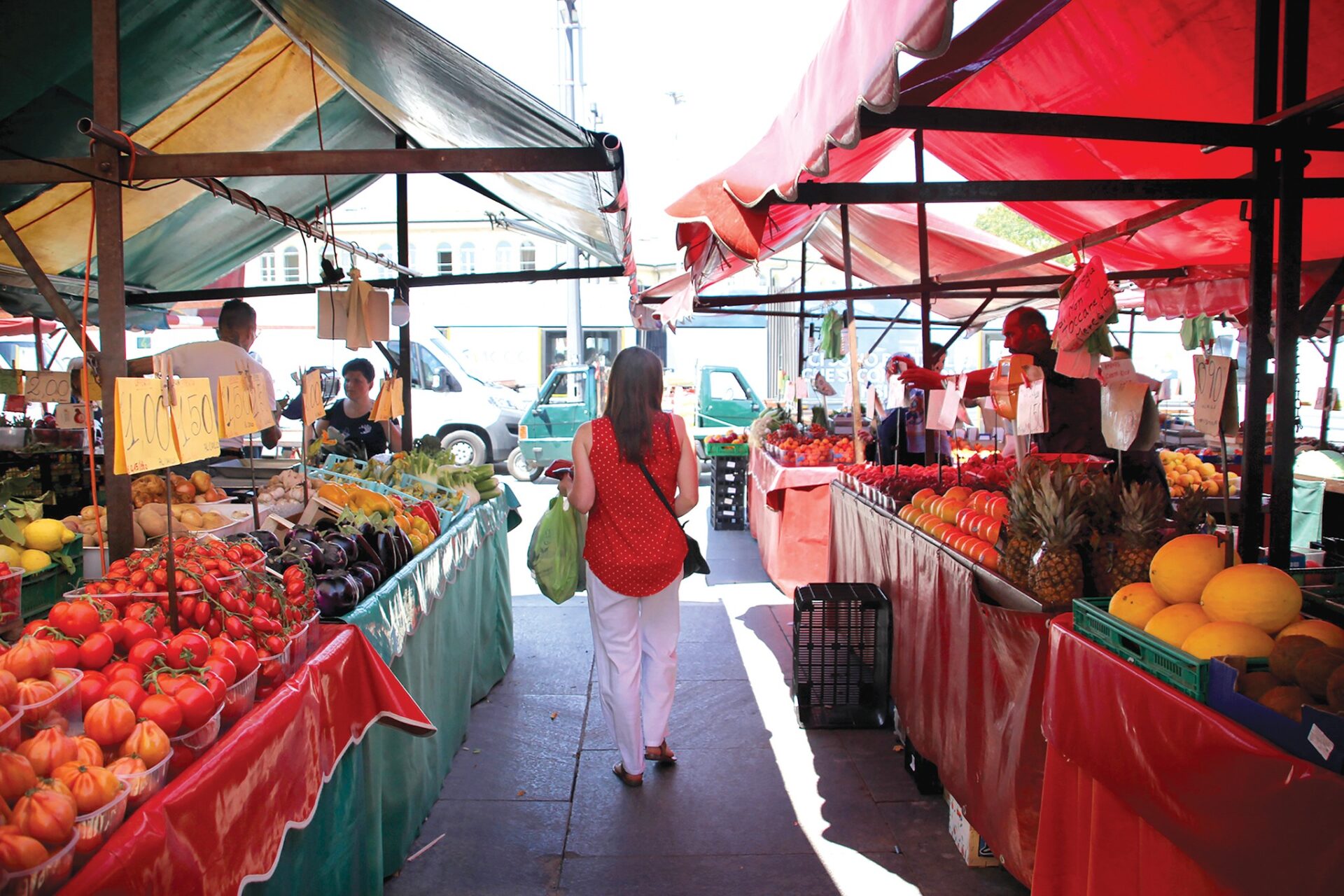 294311308_463156385812765_8368849843291554725_n