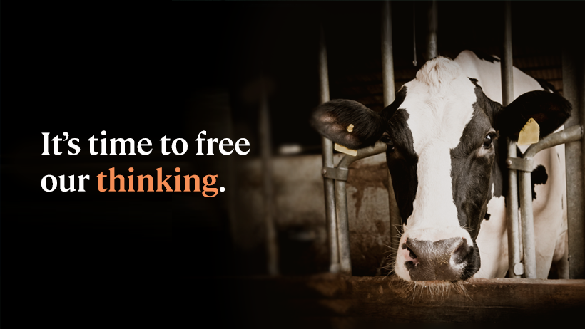 297528183_10162099907835299_7191377725892332022_n