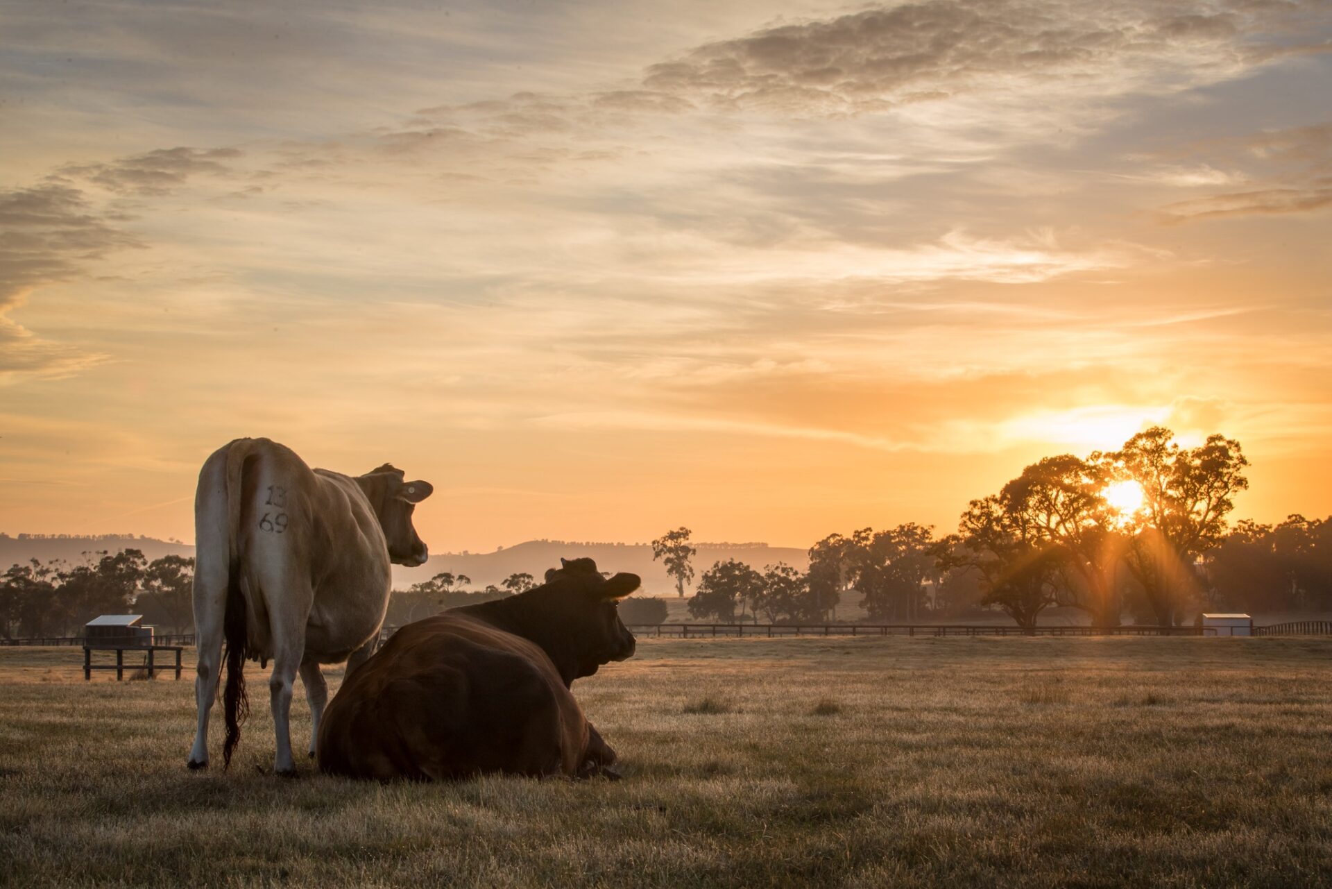 327914332_500966511969249_5683990384689850820_n