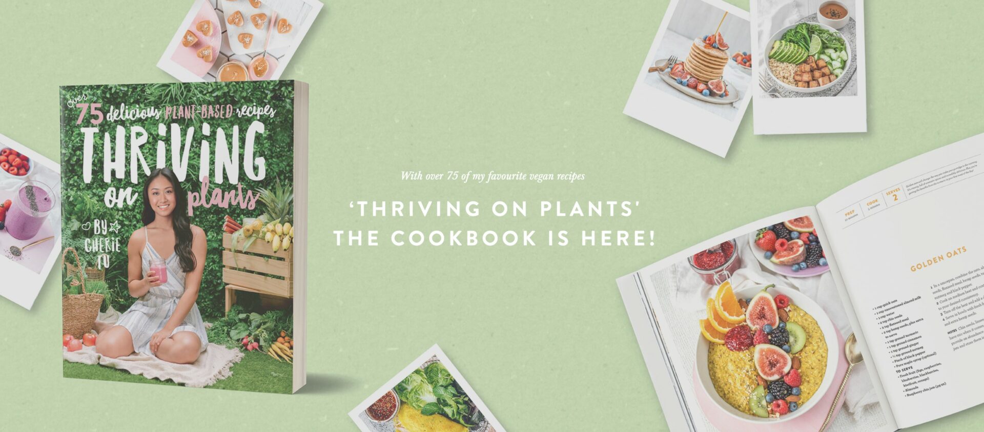 69064427_718916645247130_3781446386021564416_n