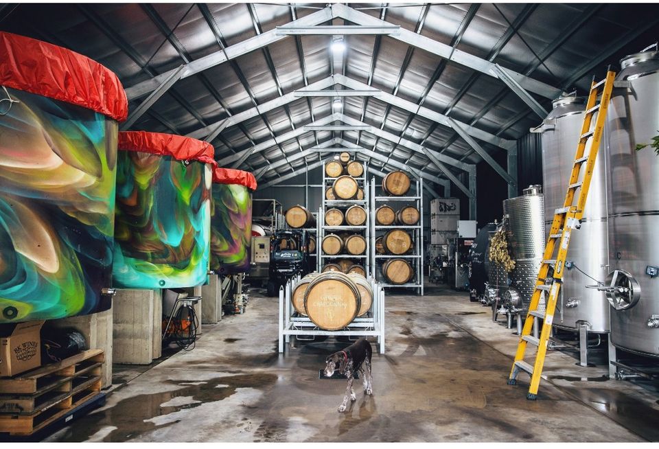 301907352_760937744878797_2005135251029609973_n