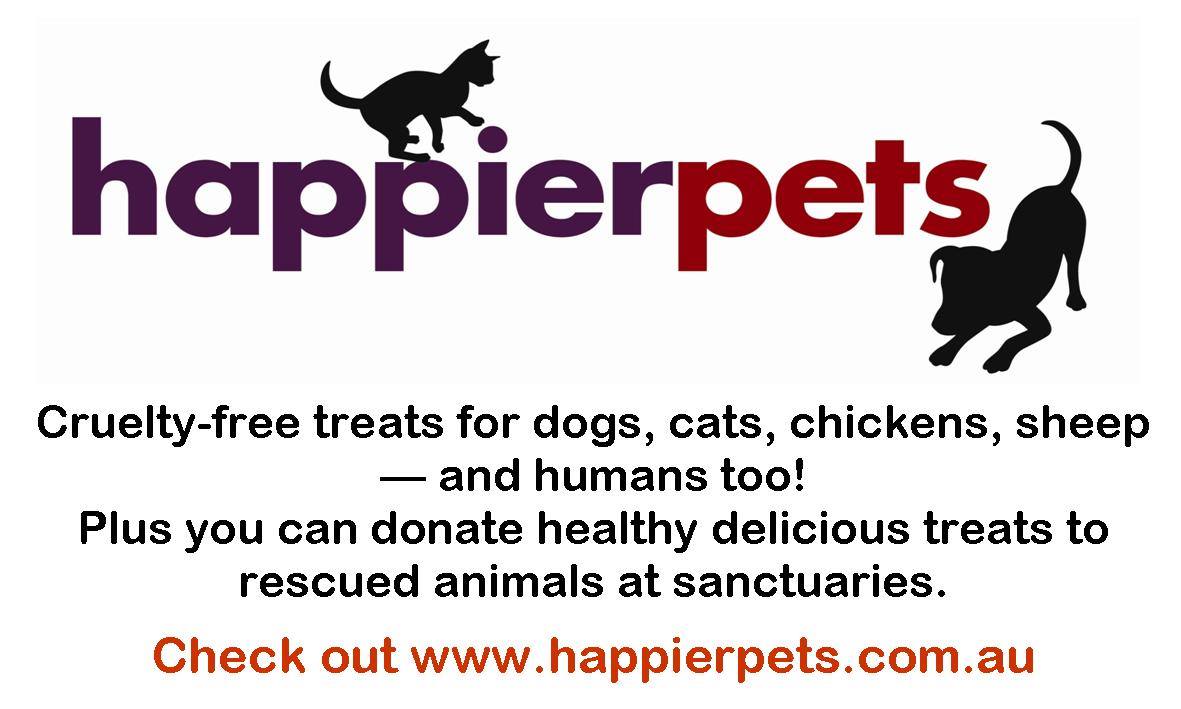 305211782_573092021215362_2294890558361101576_n