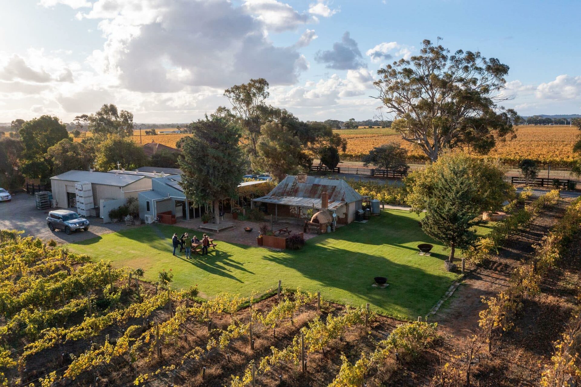 309638802_547932117297122_4446514219750924805_n