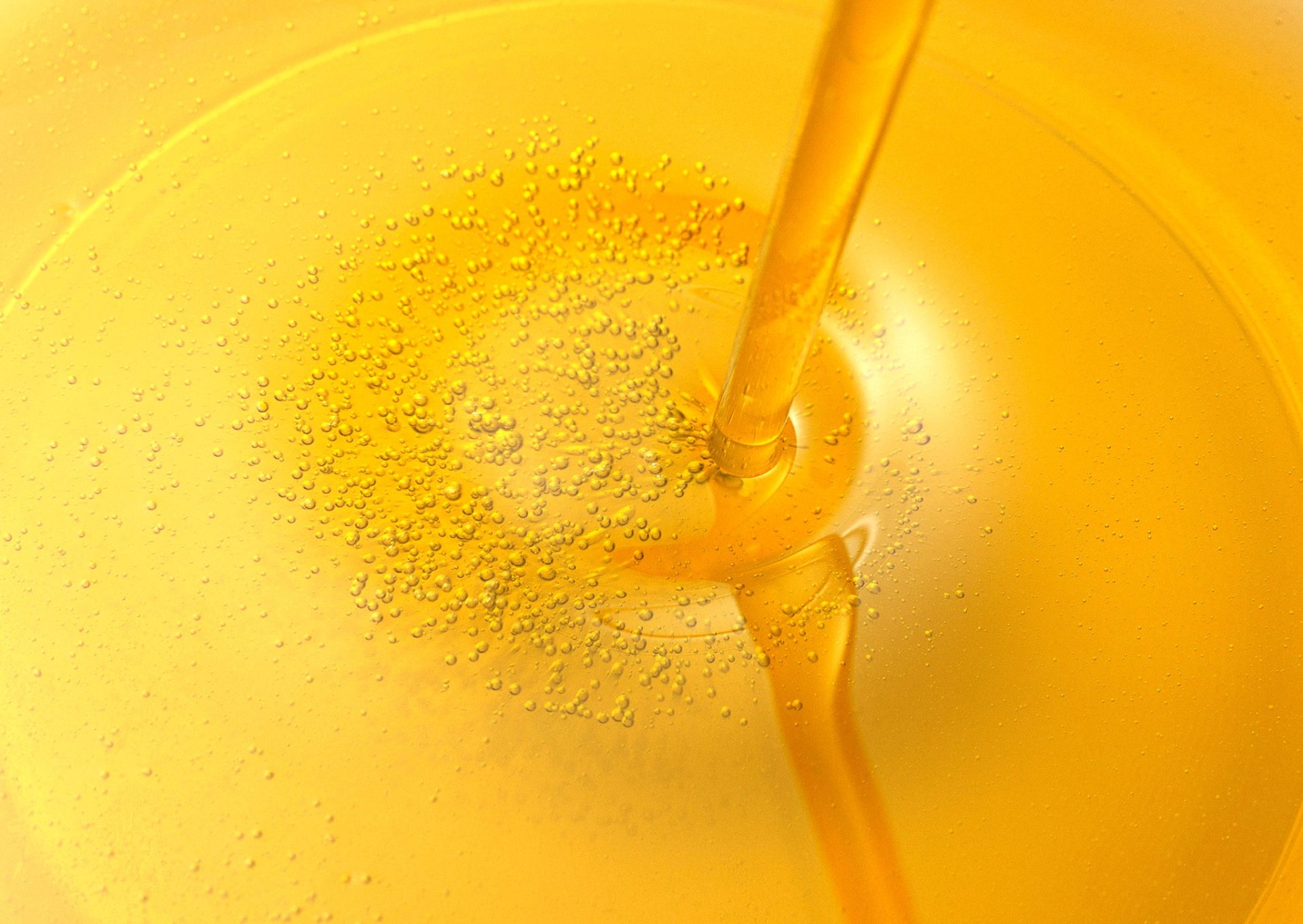 1495292_1419135881744706_7494013625098484791_o