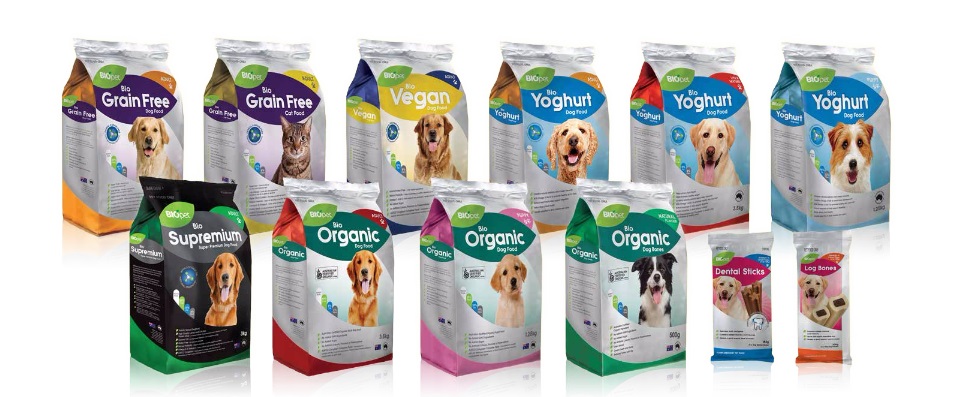 305650211_509210974542303_3669183505024374124_n