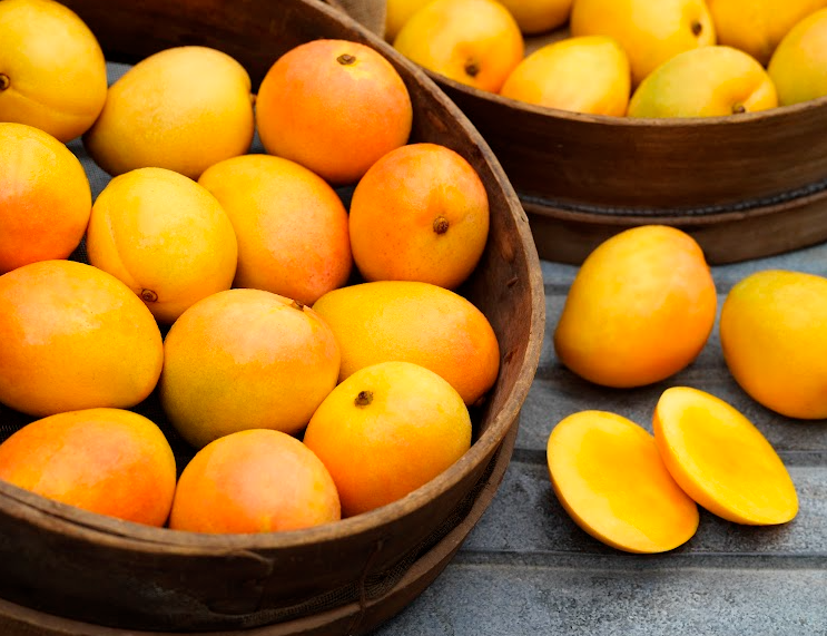 313410534_8379545088784215_4278245326586482083_n