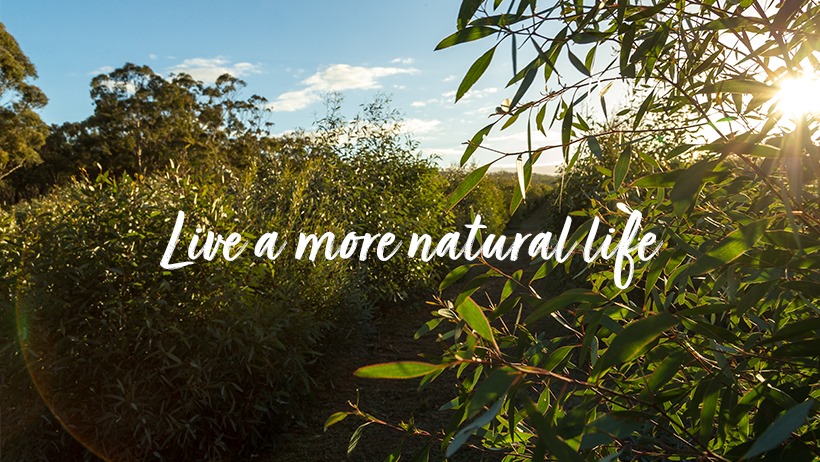 107695157_3437082139658905_173312017124624553_n