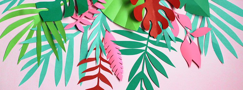 298607011_499643315494101_5371859499891927664_n