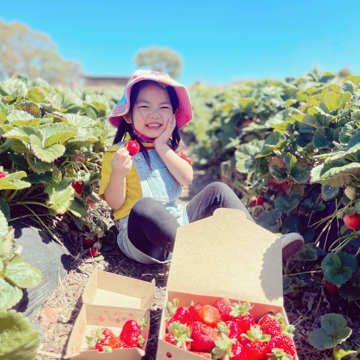 324079131_1101105087226394_4652058710487102146_n