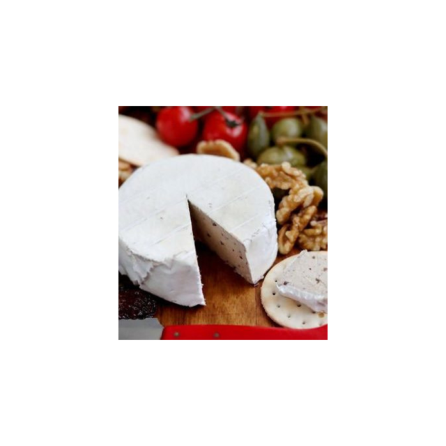 344297858_623468782666826_8604621834475236480_n-1-e1684503429280