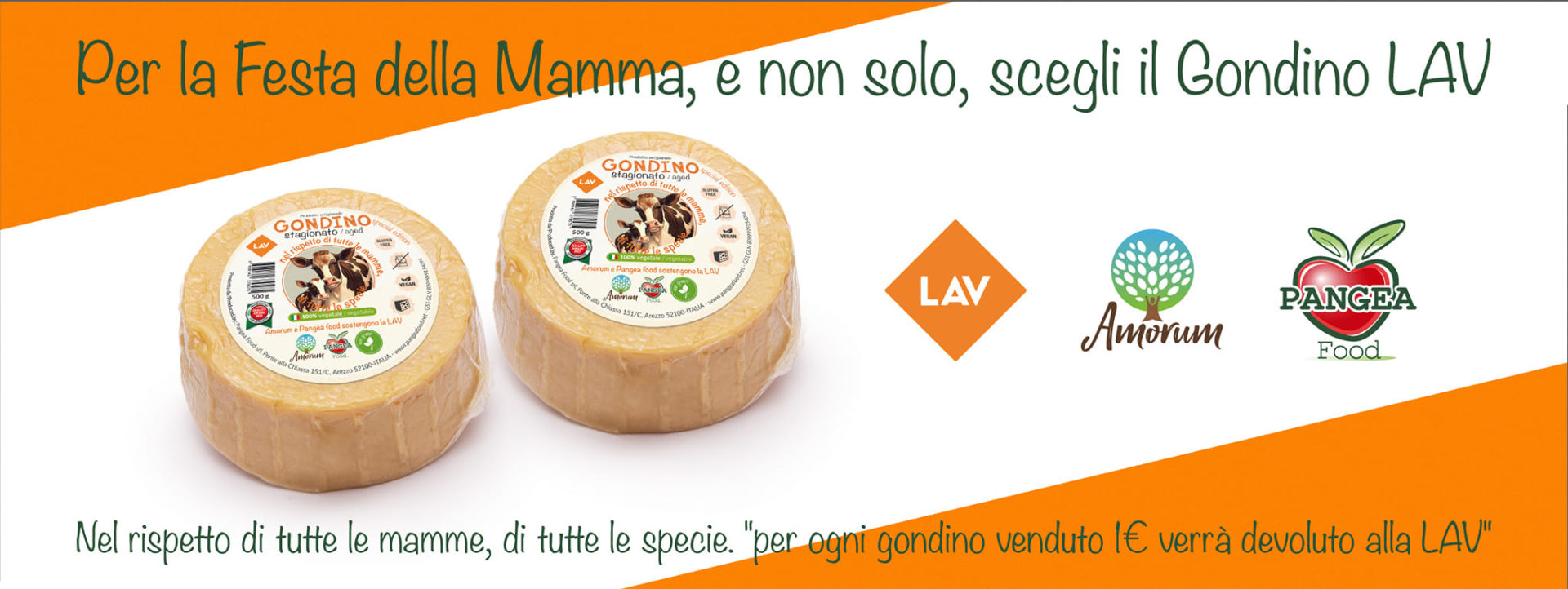 345936479_1292962494591260_870661693882954613_n