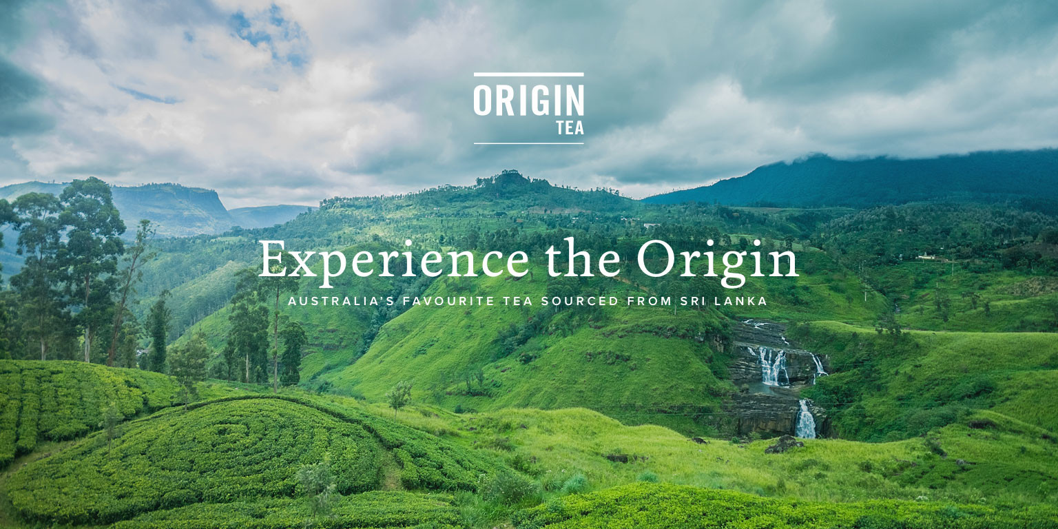 340622560_110985495285983_835151926414487208_n